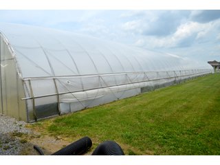 Property photo 18 - GREENHOUSE FARM AUCTION IN HENRY COUNTY, OHIO